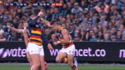 adelaidecrows goal reactions celebrations adelaide crows GIF