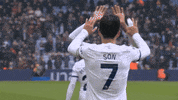Premier League Win GIF by Tottenham Hotspur