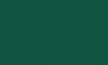 College Of William And Mary GIF by William & Mary
