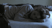 cuddle GIF