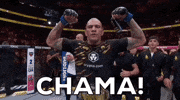 Alex Pereira Sport GIF by UFC