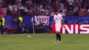 la liga football GIF by Sevilla Fútbol Club