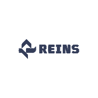Reins_iBuyer real estate reality nehnutelnosti reins Sticker