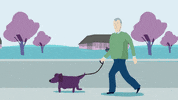 old man dog GIF by LooseKeys