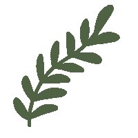 bethanyleahjones nature minimal leaf leaves Sticker