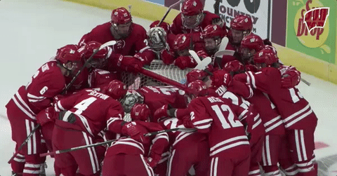 College Hockey Team GIF by Wisconsin Badgers