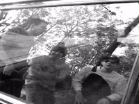 Mike D Mca GIF by Beastie Boys