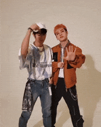 Skz Straykids GIF
