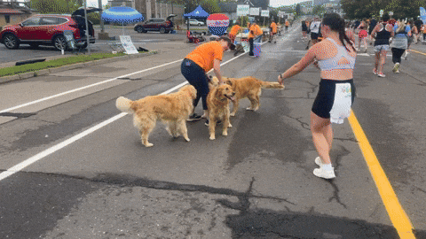 waldenboy giphyupload GIF