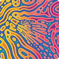 Rainbow GIF by Knobby