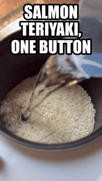 Salmon Teriyaki, One Button | Rice Robot