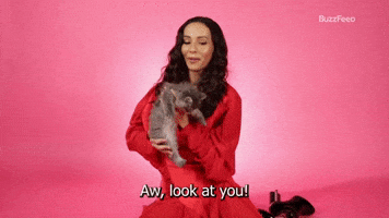 Aw Look At You!