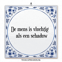 Humor Nl GIF by Tegelspreuken.nl