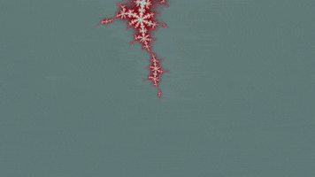 Benoit Mandelbrot Lsd GIF by xponentialdesign