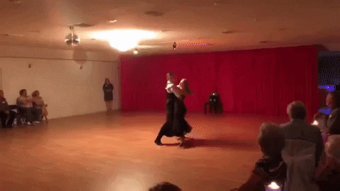 anastassiaballroom giphygifmaker dance dancing tango GIF