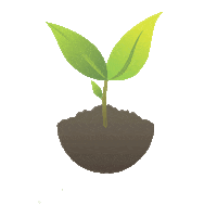 sementescerquinha plant sementes cerquinha Sticker
