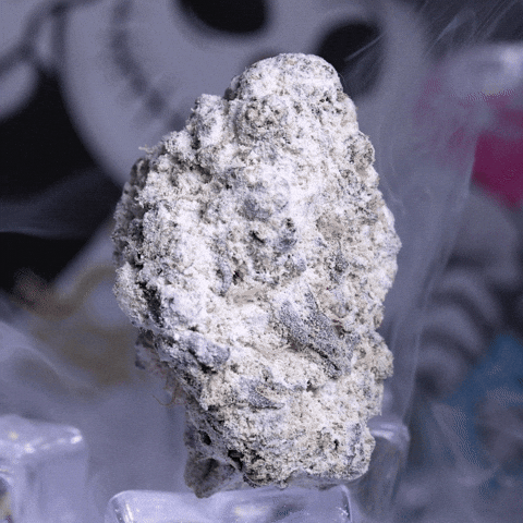 The 8Th Flower GIF by Exclusive Brands