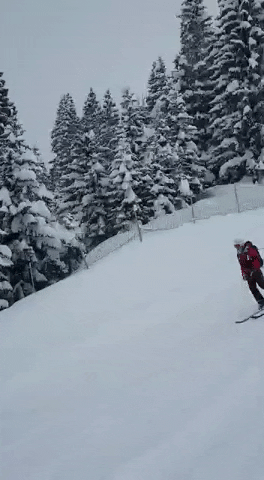powderhuntr giphyupload fail crash ski GIF