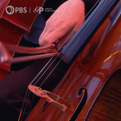 Conducting Vienna Philharmonic GIF by GREAT PERFORMANCES | PBS