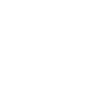 Ball Rolling Sticker
