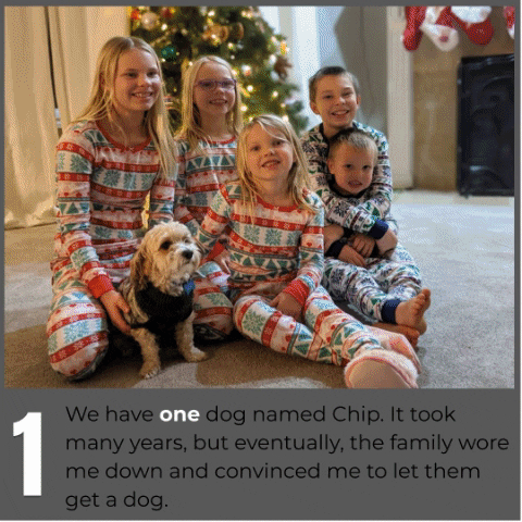 jrsowash giphygifmaker GIF