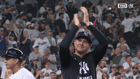 New York Yankees Win GIF by MLB
