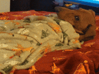 Sleepy Sausage Dog GIF