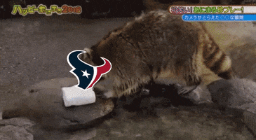 FanDuel sports football sport nfl GIF
