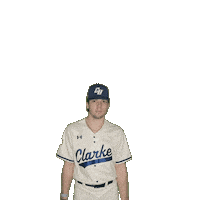 Clarke Baseball Sticker by Clarke University