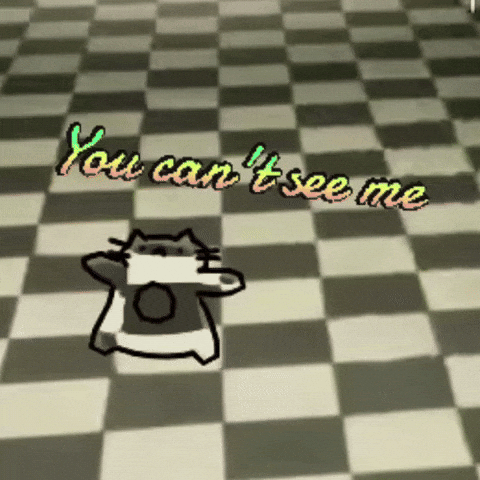 You Cant See Me Hide And Seek GIF