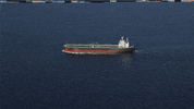 GIF by tomcjbrown