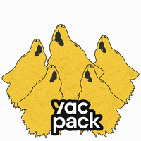 App Howling GIF by Yac