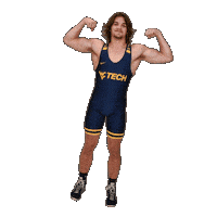 Wrestling Sticker by WVU Tech Golden Bears