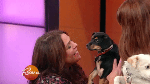 adopt puerto rico GIF by Rachael Ray Show