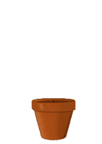 Flowers Blooming Sticker