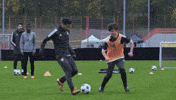 fc bayern lol GIF by adidas