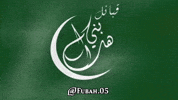 Saudi Arabia Egypt GIF