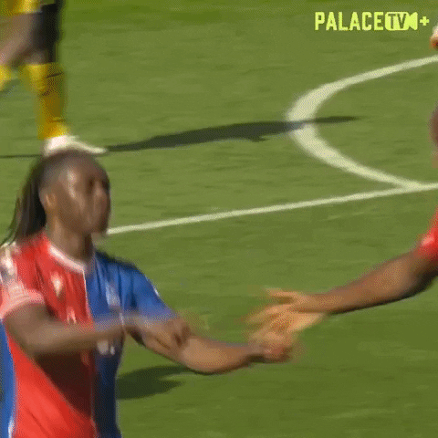 Premier League Celebration GIF by Crystal Palace Football Club