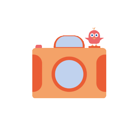 Photograph Sticker by Superland