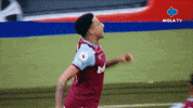 Happy Fun GIF by MolaTV