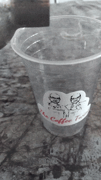 Iced Coffee Espresso GIF by The Coffee Twins