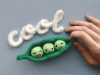 Cool Beans GIF