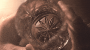 bootlegging ben affleck GIF by Live By Night
