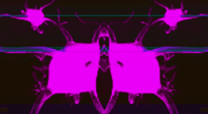 Trip Drugs GIF by J. Lupo Arms