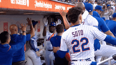 Celebrate Home Run GIF by New York Mets