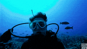blue planet fish GIF by BBC America