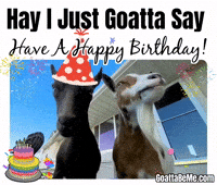 Happy Birthday To You GIF by Goatta Be Me Goats! Adventures of Java, Toffee, Pumpkin and Cookie!