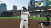 San Diego Padres Sport GIF by MLB