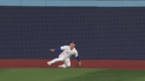 Blue Jays Wow GIF by MLB