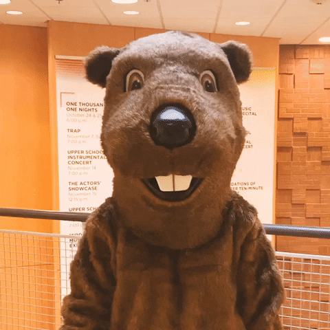 GIF by Welcome to the BVR Dam